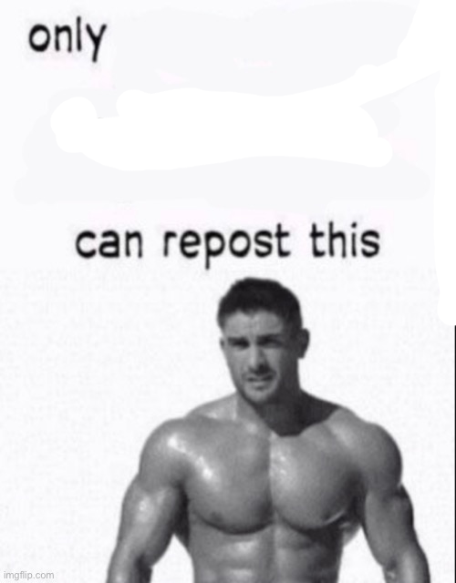 High Quality only x can repost this chad Blank Meme Template