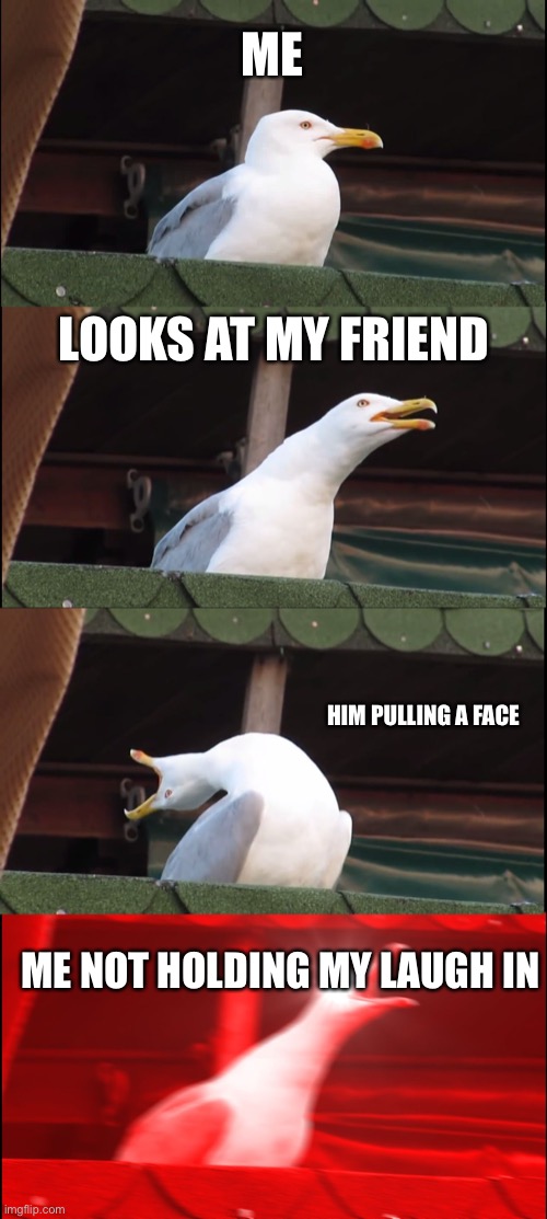 Inhaling Seagull Meme | ME; LOOKS AT MY FRIEND; HIM PULLING A FACE; ME NOT HOLDING MY LAUGH IN | image tagged in memes,inhaling seagull | made w/ Imgflip meme maker