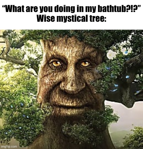 How’d he get in there?!? | “What are you doing in my bathtub?!?”
Wise mystical tree: | image tagged in must-play tree,wise mystical tree,meme,dank,random,funny | made w/ Imgflip meme maker