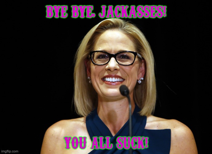 Another Democrat Has Left the Party | BYE BYE, JACKASSES! YOU ALL SUCK! | image tagged in kyrsten sinema | made w/ Imgflip meme maker