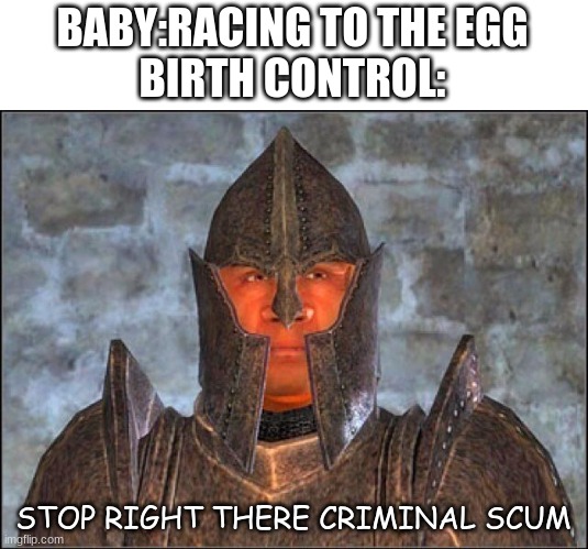 welp. | BABY:RACING TO THE EGG
BIRTH CONTROL:; STOP RIGHT THERE CRIMINAL SCUM | image tagged in stop right there criminal scum | made w/ Imgflip meme maker
