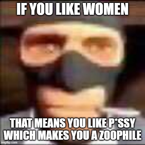 spi | IF YOU LIKE WOMEN; THAT MEANS YOU LIKE P*SSY WHICH MAKES YOU A ZOOPHILE | image tagged in spi | made w/ Imgflip meme maker