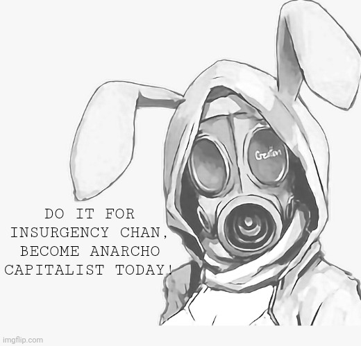 Socialism is doomed to turn into communism. | DO IT FOR INSURGENCY CHAN, BECOME ANARCHO CAPITALIST TODAY! | made w/ Imgflip meme maker