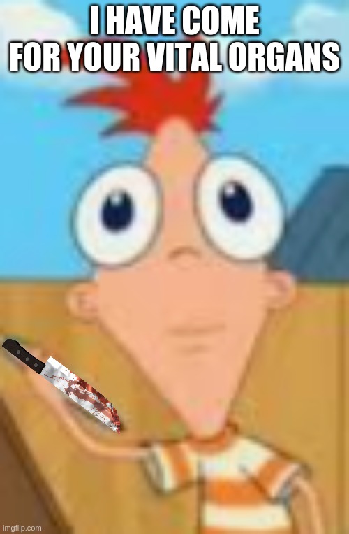 U wut m8 | I HAVE COME FOR YOUR VITAL ORGANS | image tagged in phineas | made w/ Imgflip meme maker