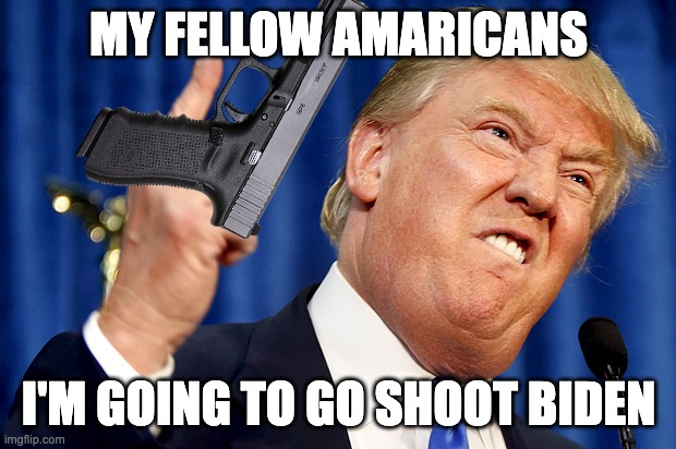 Donald Trump | MY FELLOW AMARICANS I'M GOING TO GO SHOOT BIDEN | image tagged in donald trump | made w/ Imgflip meme maker