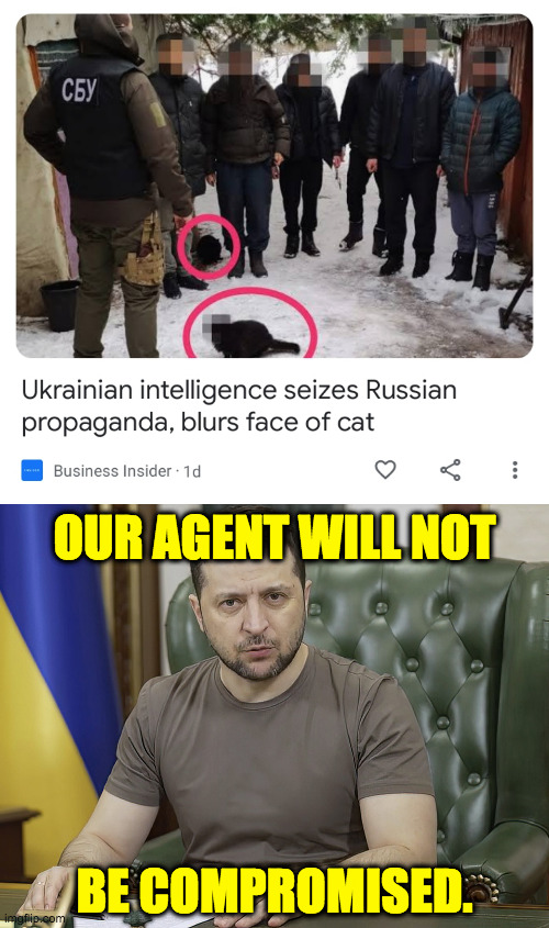 Intelligence at a whole other level. | OUR AGENT WILL NOT; BE COMPROMISED. | image tagged in president volodymyr zelensky,memes,cat memes,master of disguise | made w/ Imgflip meme maker