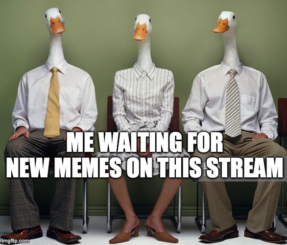 ME WAITING FOR NEW MEMES ON THIS STREAM | made w/ Imgflip meme maker