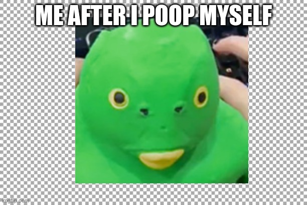 dumb lookin fish | ME AFTER I POOP MYSELF | image tagged in memes | made w/ Imgflip meme maker