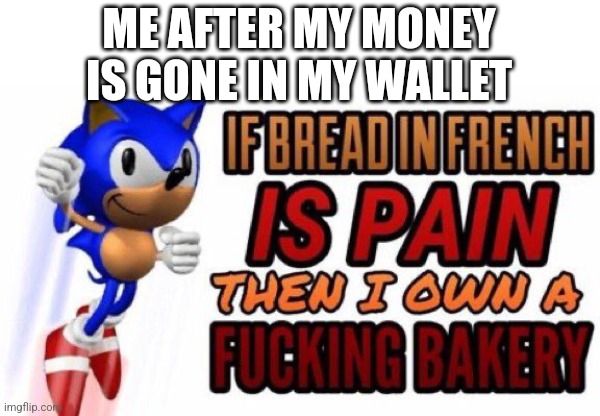 If bread in french is pain | ME AFTER MY MONEY IS GONE IN MY WALLET | image tagged in if bread in french is pain | made w/ Imgflip meme maker