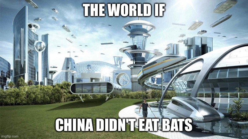 fr | THE WORLD IF; CHINA DIDN'T EAT BATS | image tagged in the future world if | made w/ Imgflip meme maker