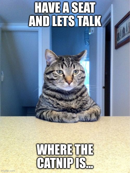 Take A Seat Cat Meme | HAVE A SEAT AND LETS TALK; WHERE THE CATNIP IS... | image tagged in memes,take a seat cat | made w/ Imgflip meme maker