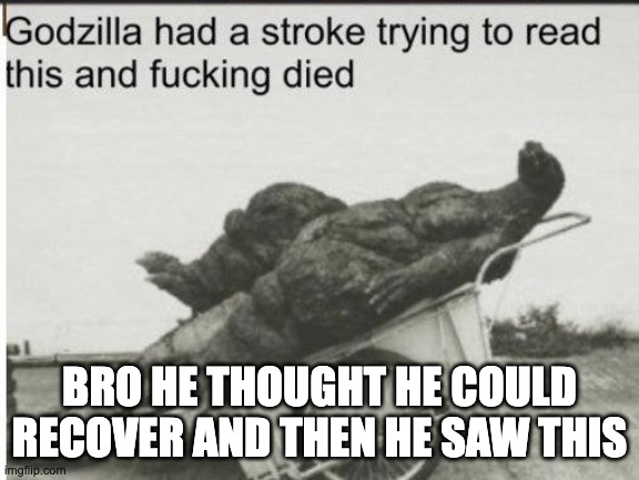 Godzilla | BRO HE THOUGHT HE COULD RECOVER AND THEN HE SAW THIS | image tagged in godzilla | made w/ Imgflip meme maker