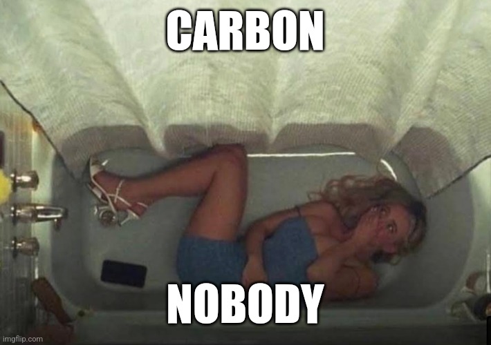 Hiding in the shower | CARBON; NOBODY | image tagged in hiding in the shower,funny memes | made w/ Imgflip meme maker