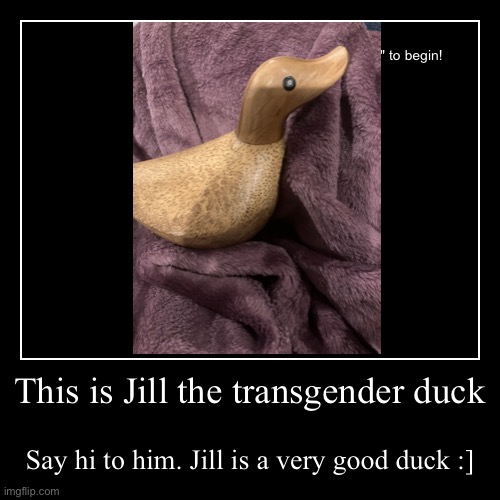 Jill the trans duck | image tagged in demotivationals,transgender,transmasc,trans ftm,lgbtq | made w/ Imgflip demotivational maker