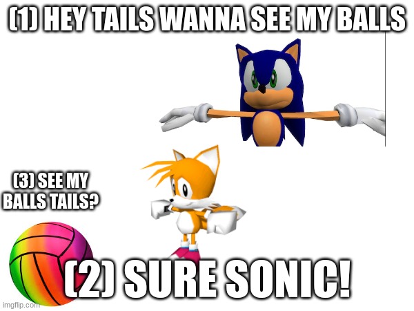 Hey tails wanna see my balls? | (1) HEY TAILS WANNA SEE MY BALLS; (3) SEE MY BALLS TAILS? (2) SURE SONIC! | image tagged in sonic the hedgehog,memes | made w/ Imgflip meme maker
