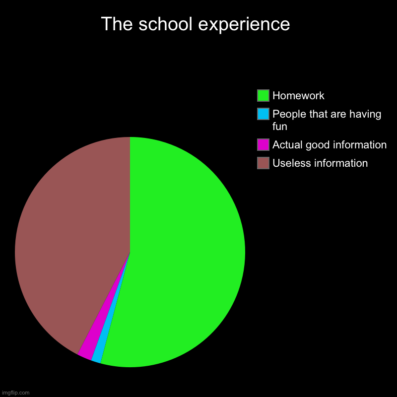 No | The school experience | Useless information, Actual good information, People that are having fun, Homework | image tagged in charts,pie charts | made w/ Imgflip chart maker