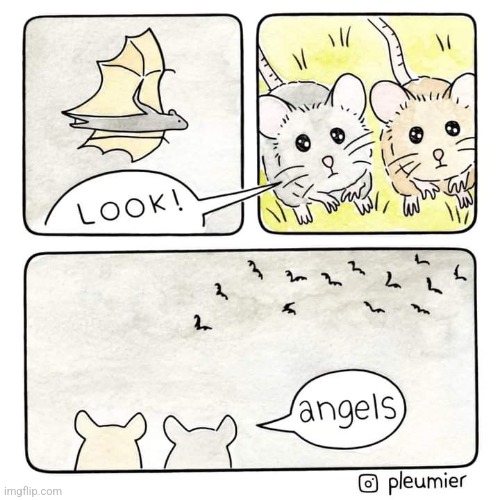 ANGELS, OF DEATH | image tagged in mice,bats,comics/cartoons | made w/ Imgflip meme maker