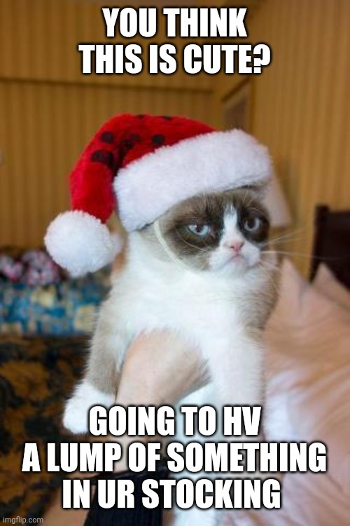 Grumpy Cat Christmas Meme | YOU THINK THIS IS CUTE? GOING TO HV A LUMP OF SOMETHING IN UR STOCKING | image tagged in memes,grumpy cat christmas,grumpy cat | made w/ Imgflip meme maker