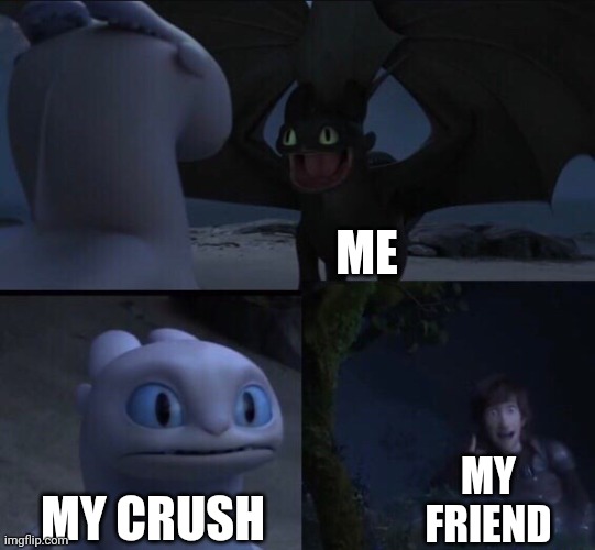 Also known as seventh grade | ME; MY FRIEND; MY CRUSH | image tagged in how to train your dragon 3 | made w/ Imgflip meme maker