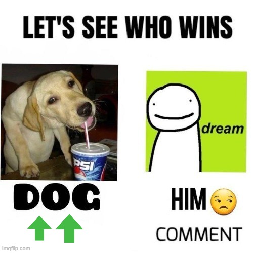 Fluffy Doggo vs Dweam | image tagged in i wear a mask,with a smile,for hours at a time,stare at the ceiling,while i hold back,whats on my mind | made w/ Imgflip meme maker