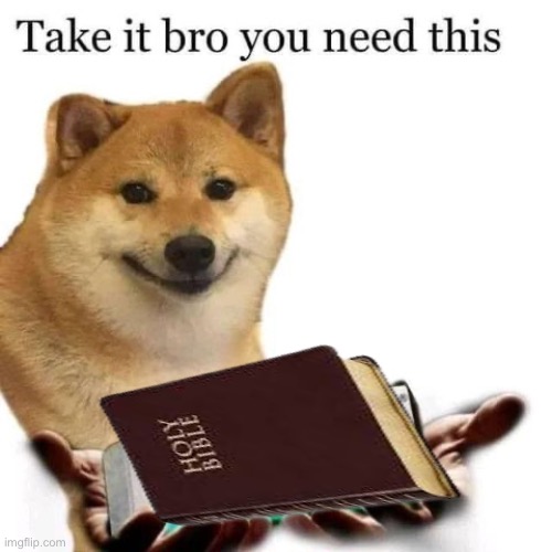 Take it bro you need this bible Blank Meme Template