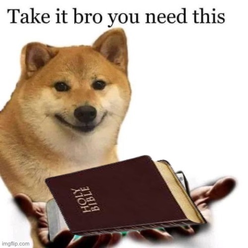 Take it bro you need this bible | image tagged in take it bro you need this bible | made w/ Imgflip meme maker