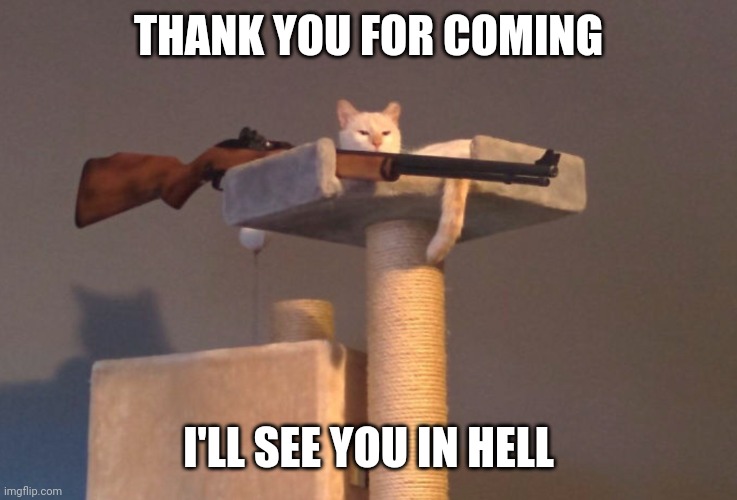 Cat with gun |  THANK YOU FOR COMING; I'LL SEE YOU IN HELL | image tagged in cat with gun,see you in hell | made w/ Imgflip meme maker
