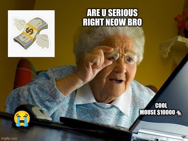 Grandma Finds The Internet | ARE U SERIOUS RIGHT NEOW BRO; 😭; COOL MOUSE $10000🐁 | image tagged in memes,grandma finds the internet | made w/ Imgflip meme maker