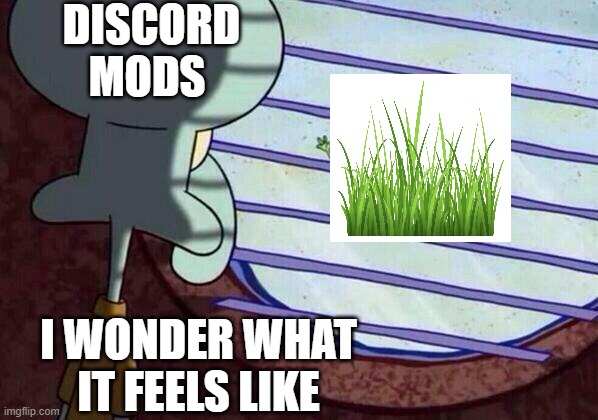 they have 2 wonder what it feels like | DISCORD MODS; I WONDER WHAT IT FEELS LIKE | image tagged in squidward window,true | made w/ Imgflip meme maker