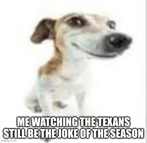 Goofy Dog | ME WATCHING THE TEXANS STILL BE THE JOKE OF THE SEASON | image tagged in goofy dog | made w/ Imgflip meme maker