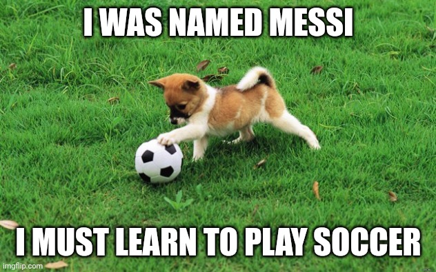 Soccer dog | I WAS NAMED MESSI; I MUST LEARN TO PLAY SOCCER | image tagged in soccer dog | made w/ Imgflip meme maker