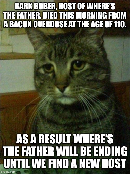 Depressed Cat Meme | BARK BOBER, HOST OF WHERE’S THE FATHER, DIED THIS MORNING FROM A BACON OVERDOSE AT THE AGE OF 110. AS A RESULT WHERE’S THE FATHER WILL BE ENDING UNTIL WE FIND A NEW HOST | image tagged in memes,depressed cat | made w/ Imgflip meme maker