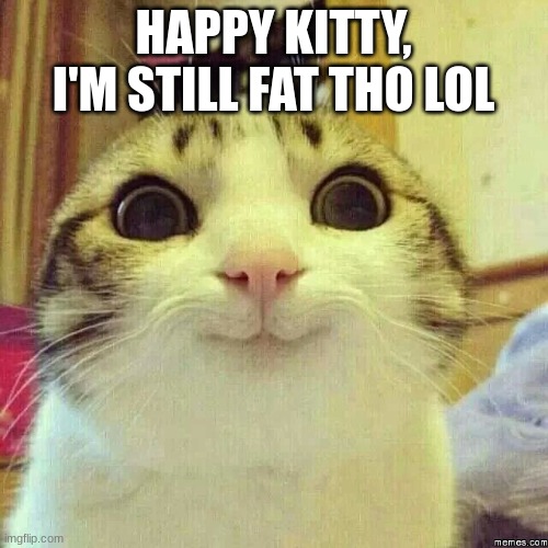 happy kitty | HAPPY KITTY, I'M STILL FAT THO LOL | image tagged in happy kitty | made w/ Imgflip meme maker