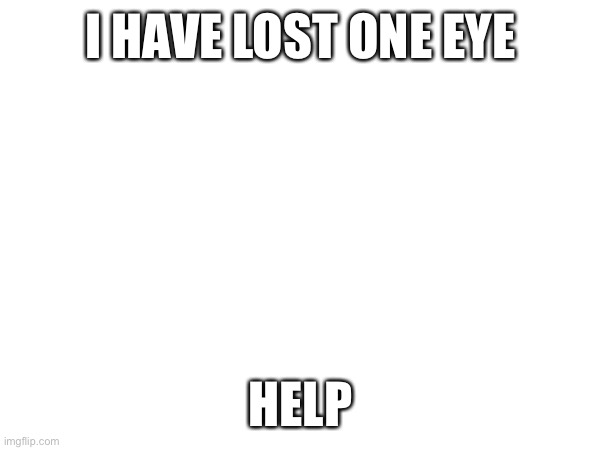 I HAVE LOST ONE EYE; HELP | image tagged in ow | made w/ Imgflip meme maker