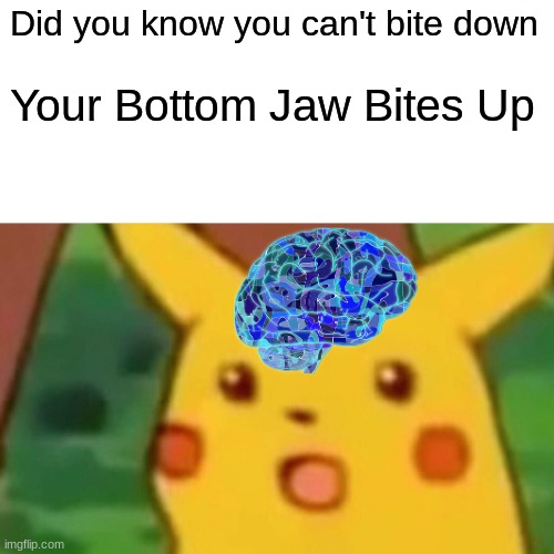 Surprised Pikachu | Did you know you can't bite down; Your Bottom Jaw Bites Up | image tagged in memes,surprised pikachu | made w/ Imgflip meme maker
