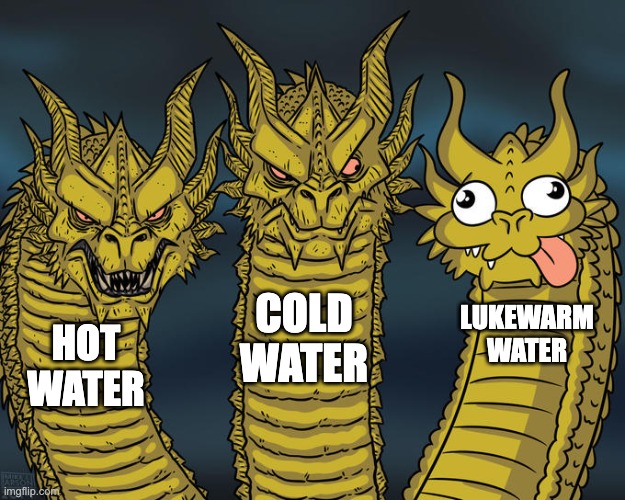 Lukewarm water is so nasty | COLD WATER; LUKEWARM
WATER; HOT WATER | image tagged in three-headed dragon | made w/ Imgflip meme maker