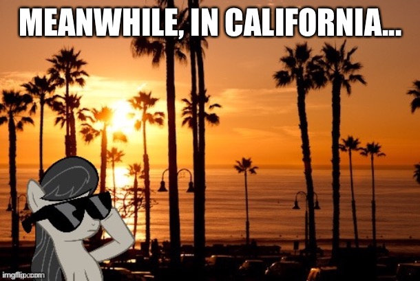 MEANWHILE, IN CALIFORNIA... | made w/ Imgflip meme maker