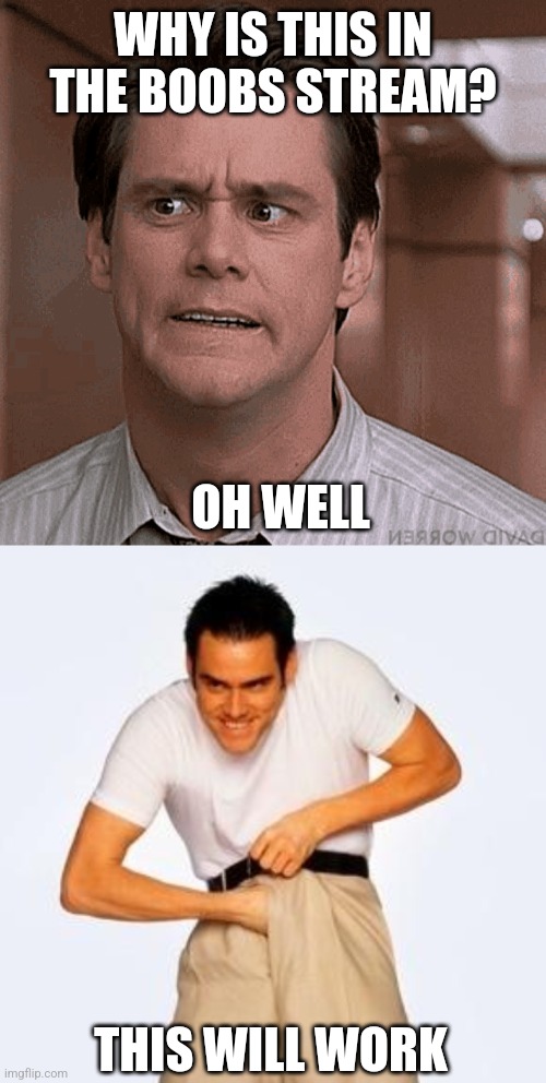 WHY IS THIS IN THE BOOBS STREAM? THIS WILL WORK OH WELL | image tagged in jim carrey fap | made w/ Imgflip meme maker