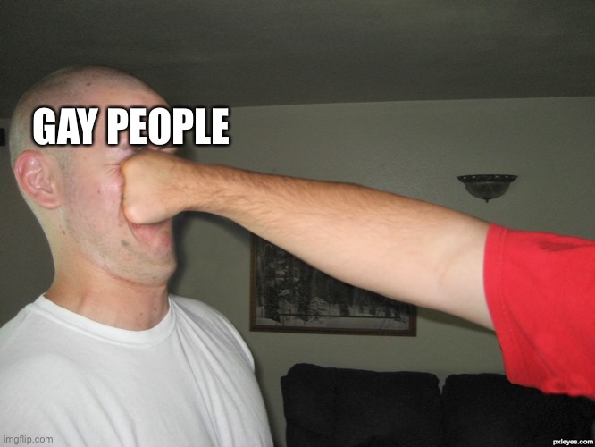 Face punch | GAY PEOPLE | image tagged in face punch | made w/ Imgflip meme maker