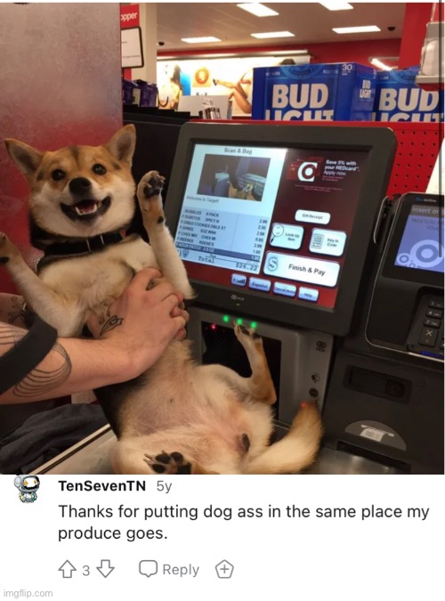 Lol ? | image tagged in memes,funny,doge,dog,reddit,cute dog | made w/ Imgflip meme maker