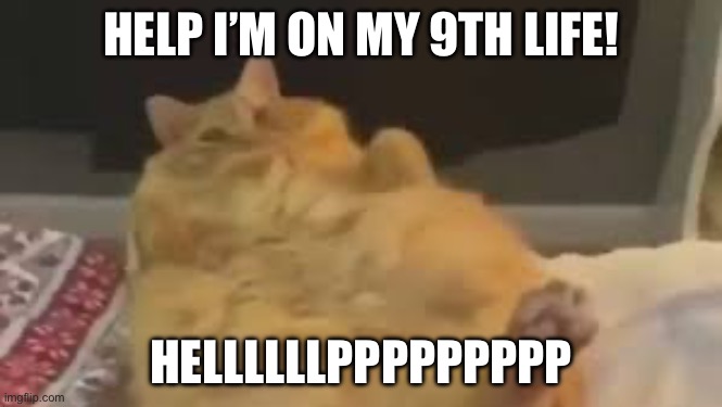 Helllp | HELP I’M ON MY 9TH LIFE! HELLLLLLPPPPPPPPP | image tagged in fat cat | made w/ Imgflip meme maker