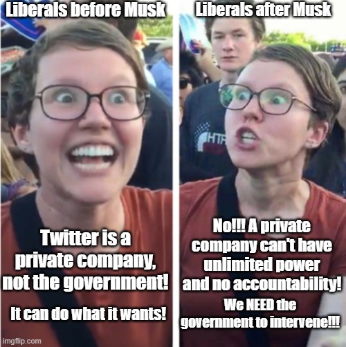 "Twitter is a private company... it can do what it wants..." | Liberals before Musk; Liberals after Musk; No!!! A private company can't have unlimited power and no accountability! Twitter is a private company, not the government! We NEED the government to intervene!!! It can do what it wants! | image tagged in backwards triggered liberal,censorship,twitter,woke,first amendment,government | made w/ Imgflip meme maker