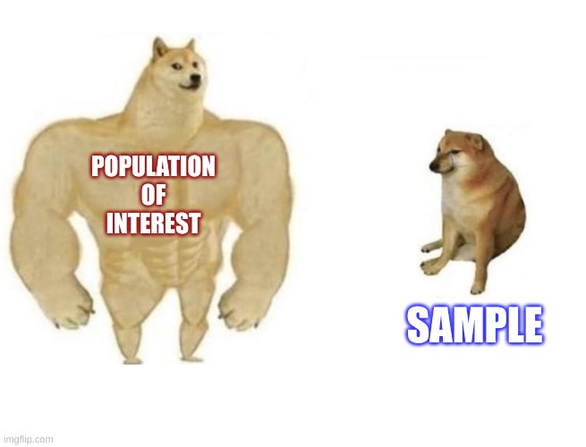 Dog comparison | POPULATION OF INTEREST; SAMPLE | image tagged in dog comparison | made w/ Imgflip meme maker