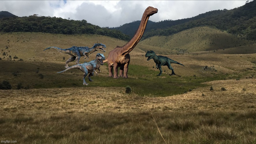 3 allosaurs vs a lone Diplodocus (Who would win) | image tagged in plains,jurassic world,jurassic park,dinosaur,who would win | made w/ Imgflip meme maker