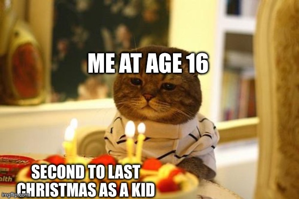 Age and Christmas | ME AT AGE 16; SECOND TO LAST CHRISTMAS AS A KID | image tagged in happy birthday sad cat | made w/ Imgflip meme maker