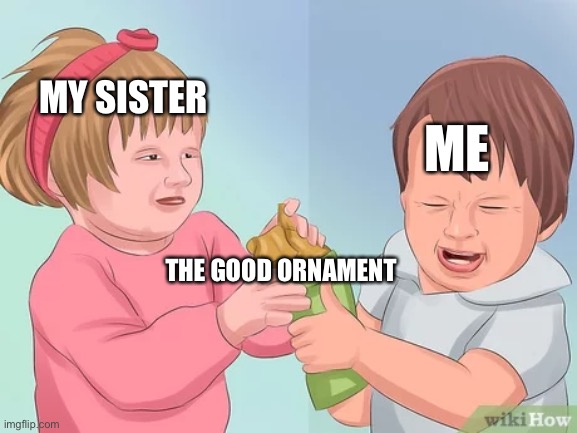 merry crisis | MY SISTER; ME; THE GOOD ORNAMENT | image tagged in christmas,siblings,christmas tree | made w/ Imgflip meme maker
