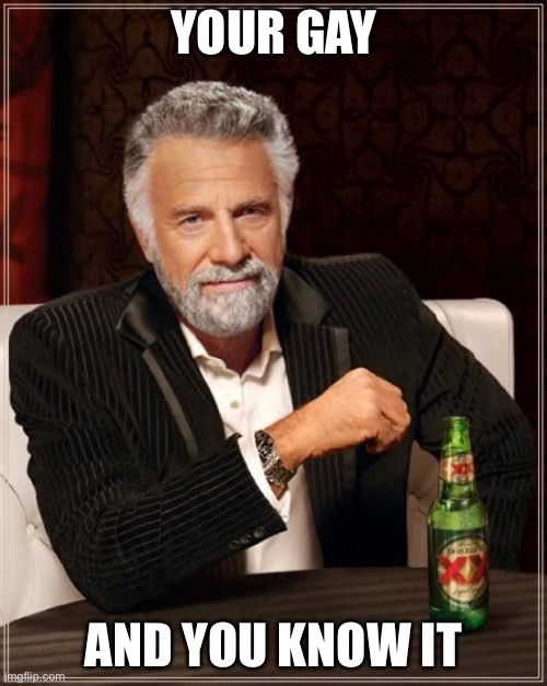 Yes you are |  YOUR GAY; AND YOU KNOW IT | image tagged in memes,the most interesting man in the world | made w/ Imgflip meme maker