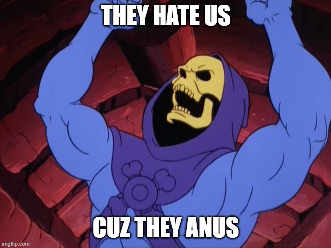Skeletor | THEY HATE US; CUZ THEY ANUS | image tagged in skeletor | made w/ Imgflip meme maker