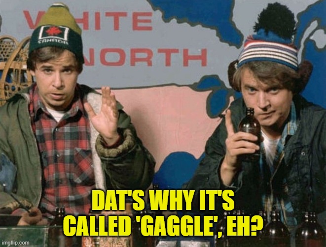 Bob and Doug McKenzie | DAT'S WHY IT'S CALLED 'GAGGLE', EH? | image tagged in bob and doug mckenzie | made w/ Imgflip meme maker