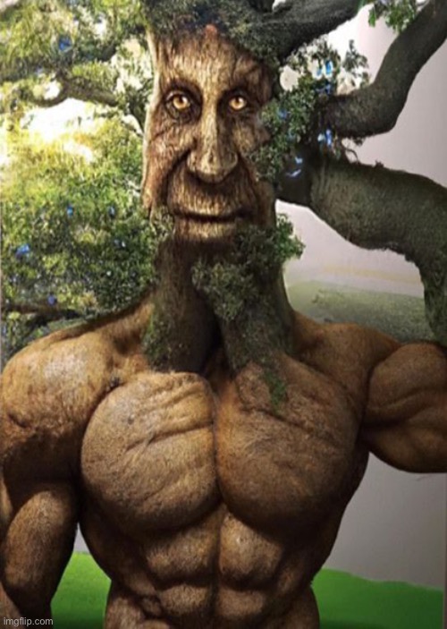 wise mystical tree | image tagged in wise mystical tree | made w/ Imgflip meme maker